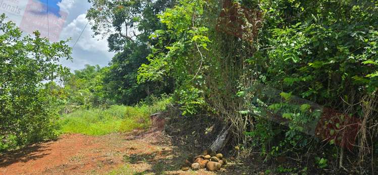 Address withheld Labasa_13