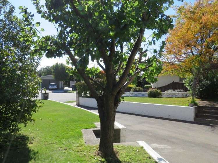 12 Glendale Place Witherlea_13