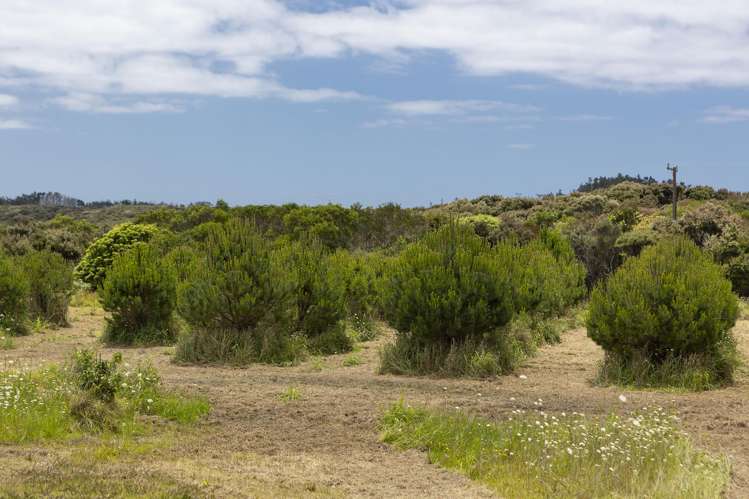 392 Henderson Bay Road Houhora_37