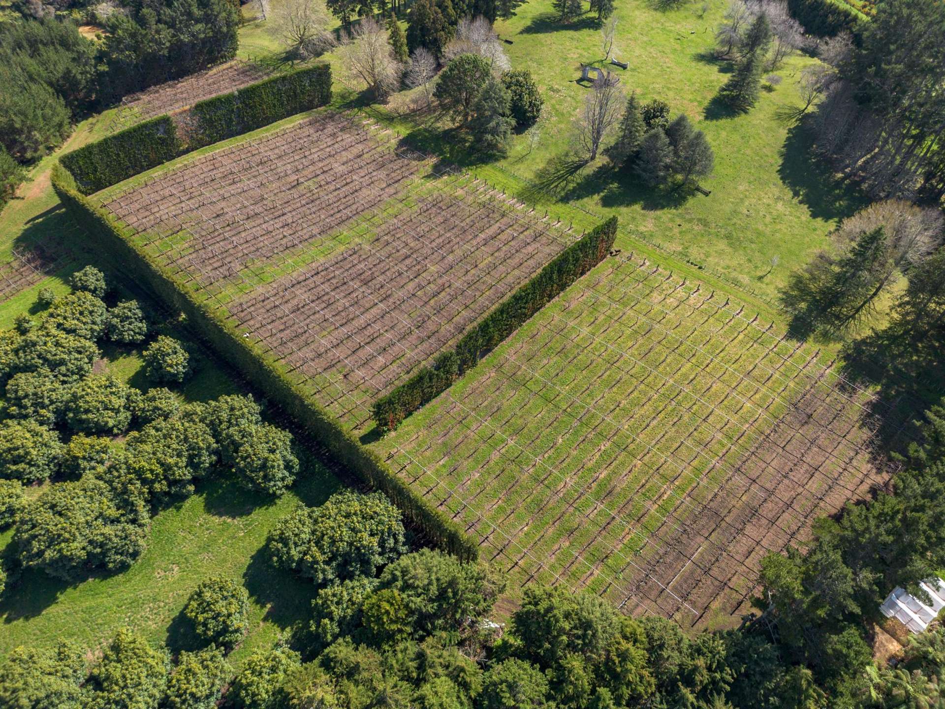 251B Esdaile Road Whakamarama_0