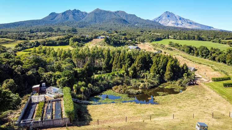 828 Dover Road Okato_6