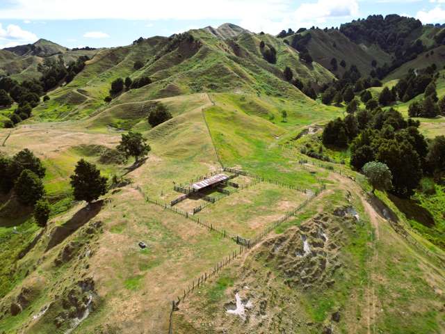5484 State Highway 4 Ongarue_2