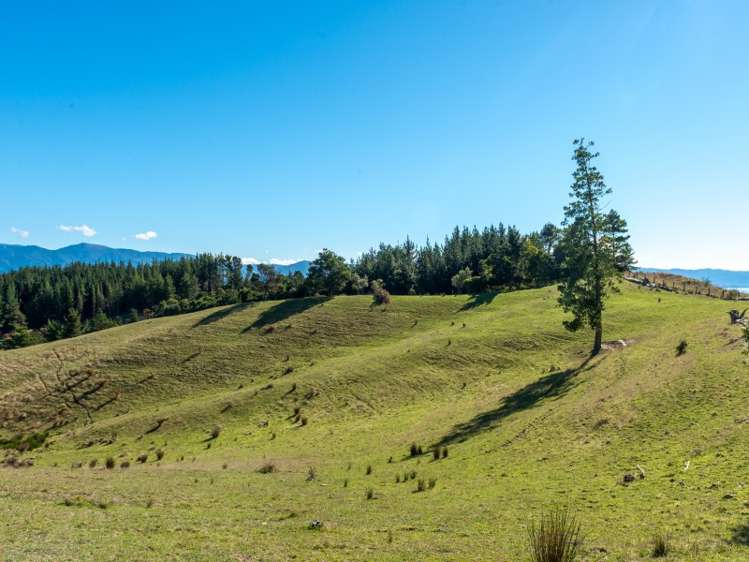 22 Kina Peninsula Road Tasman_10