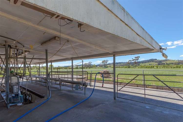 68 Parkhurst Road Helensville_7