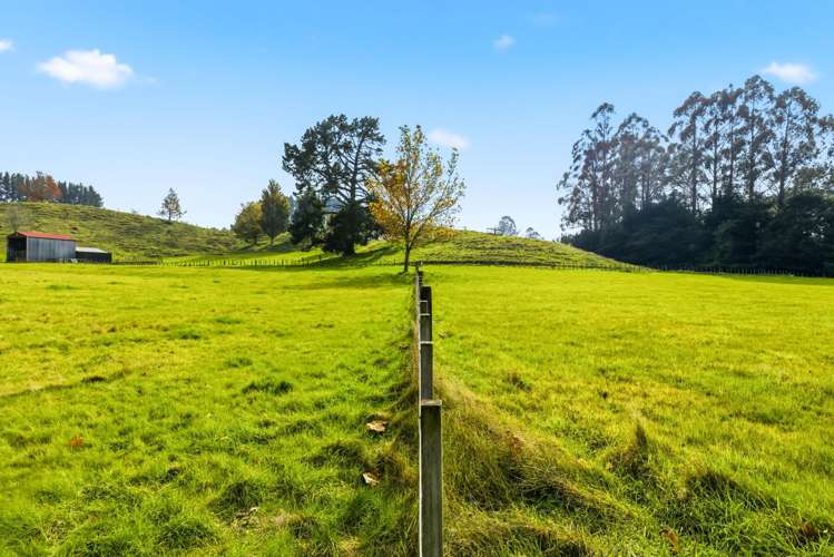 Lot 2/50 Whangamata Road Kinloch_10