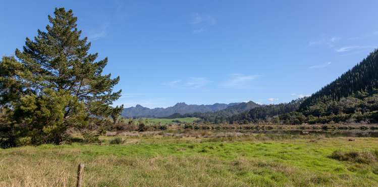 403 Hikuai Settlement Road Hikuai_7