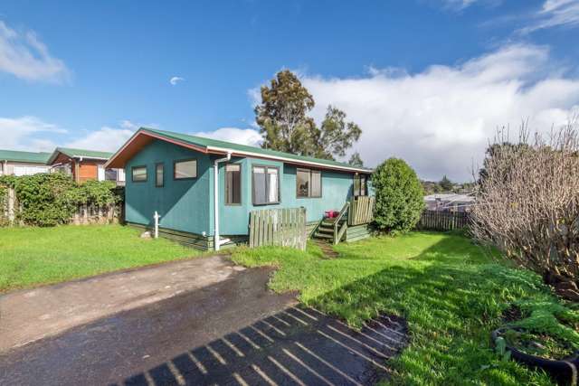 123 Astley Avenue New Lynn_2