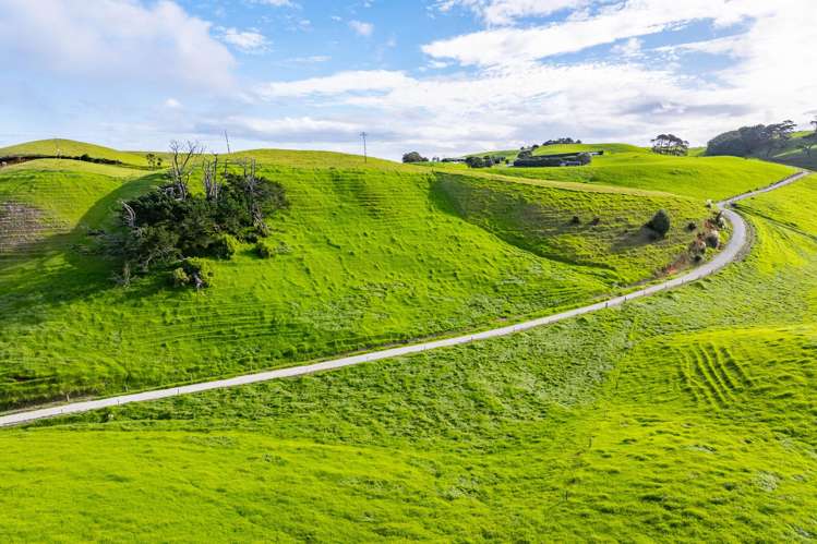 Lots 2, 3 and 4 Mahuta Road Dargaville_18