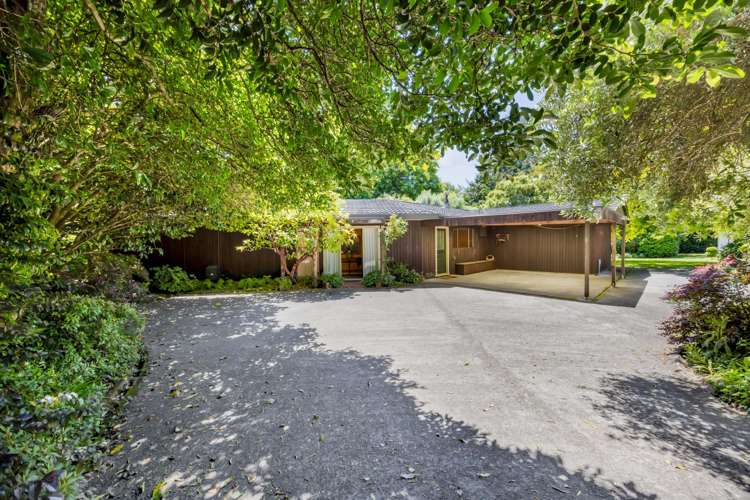 42A Regan Street Stratford_47