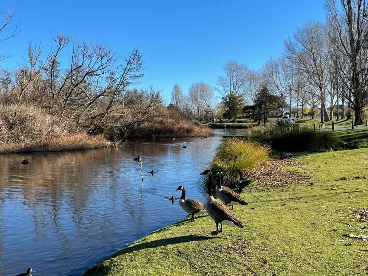 50 Lake Terrace Road Burwood_32