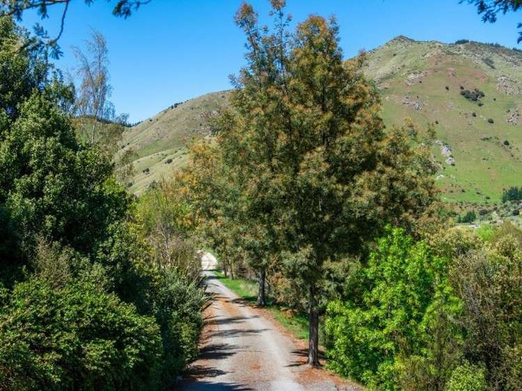 943 Taylor Pass Road Taylor Pass_12