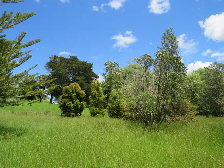 605 Whakapirau Road Whakapirau_20