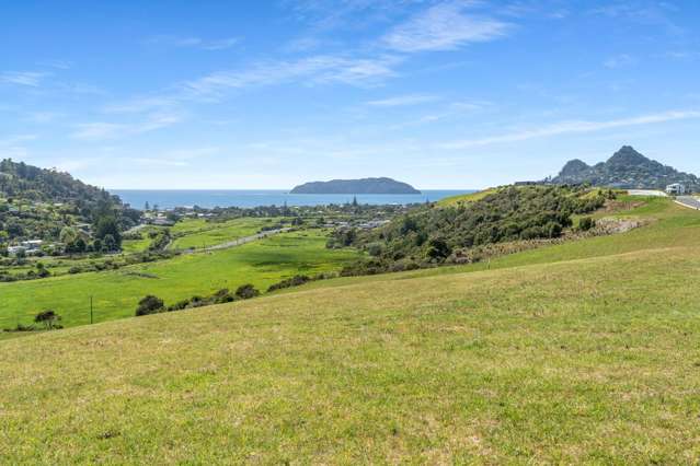 50 Azimuth Road Tairua_1