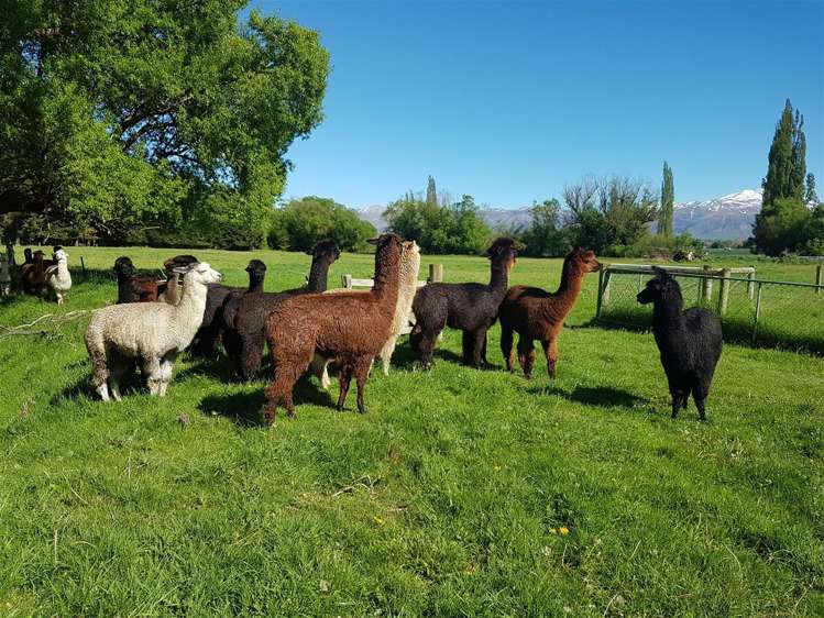 18 Nixons Road Fairlie_19