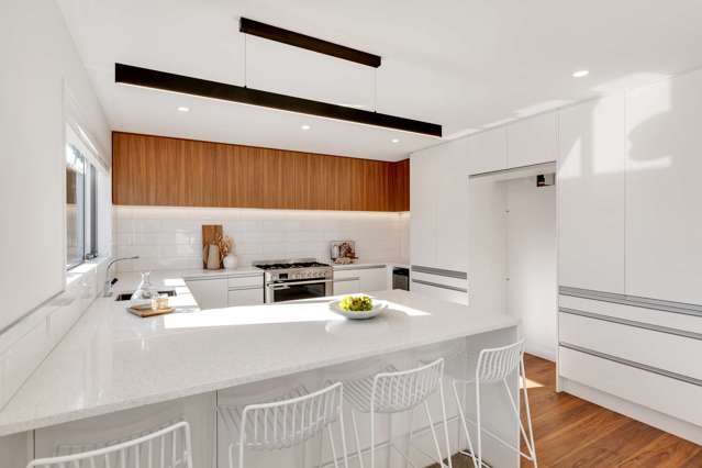 1 Gilbert Place Sydenham_4