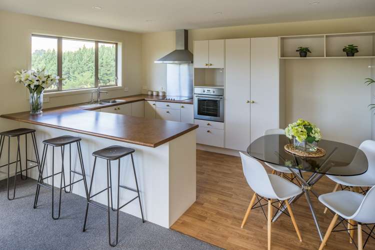 7 Catlins Glen Aotea_1