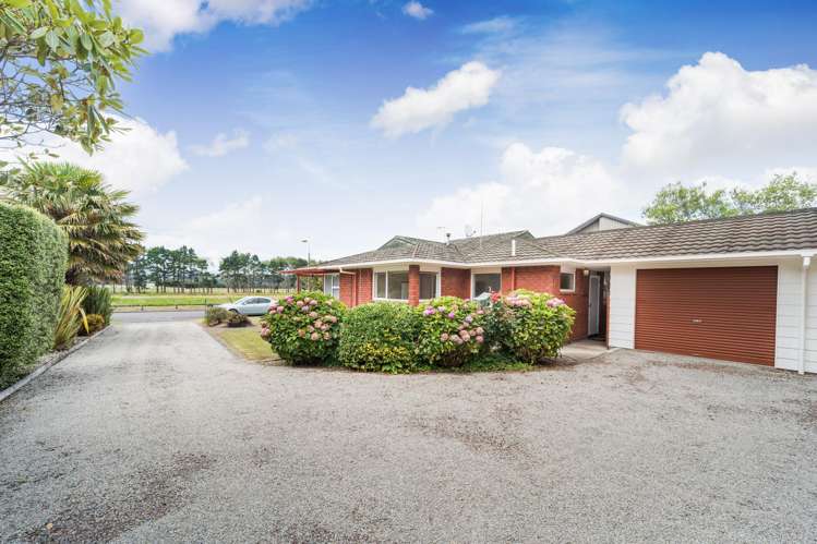 45 Dittmer Drive Awapuni_21