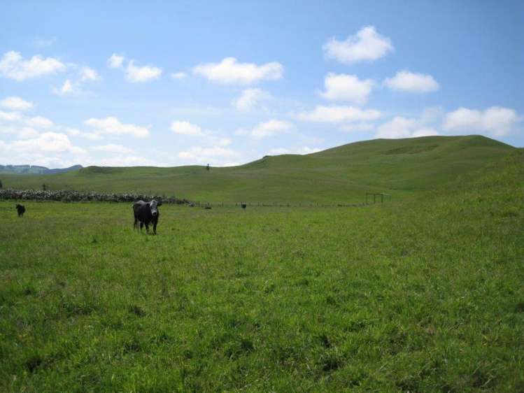 122 Kokonga West Road Waikaretu_12