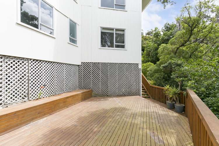 2b Pearce Street Vogeltown_18