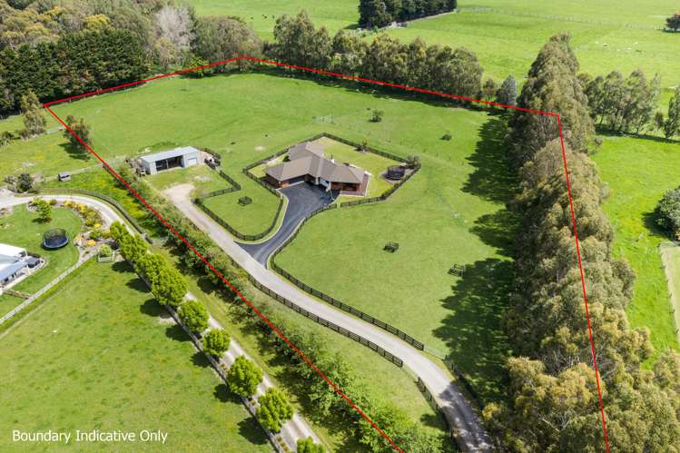 38B Grove Road Hiwinui_1