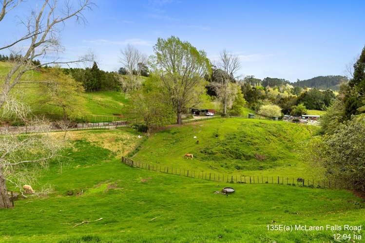 McLaren Falls Road Omanawa_6