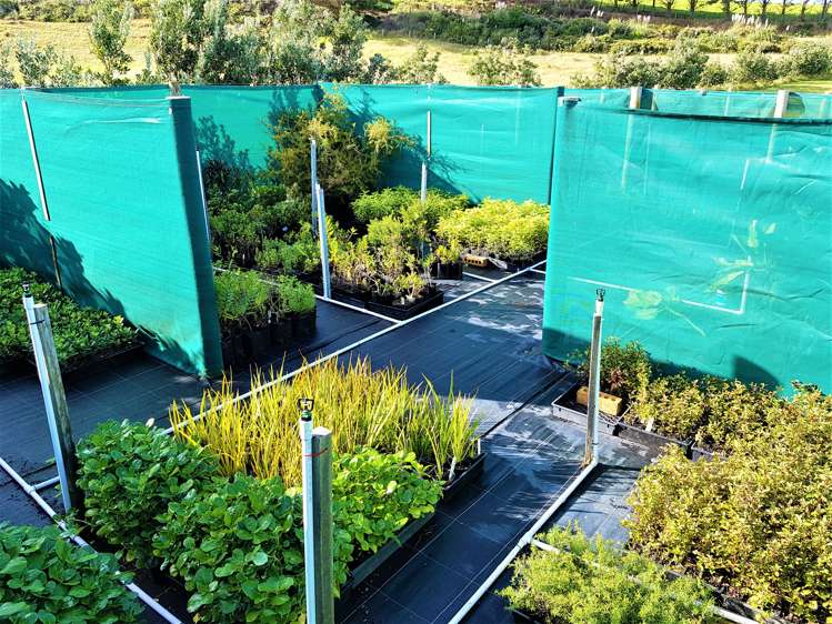 1246 Babylon Coast Road Dargaville Surrounds_23