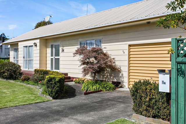 1a Domett Street Whataupoko_1