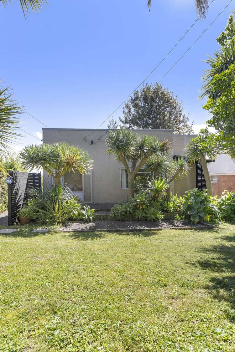 217 Blockhouse Bay Road Avondale_29