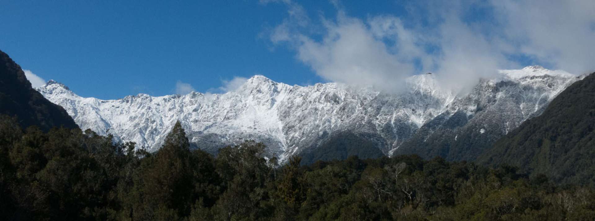 Fox Glacier_0