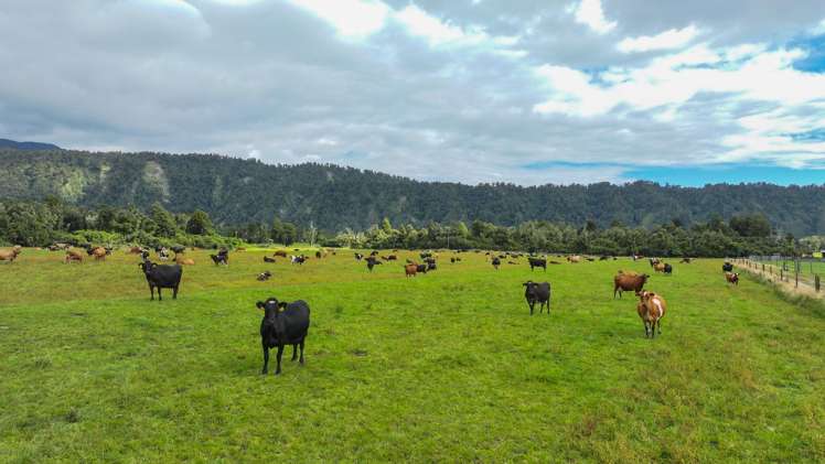 217 Poerua Valley Road Harihari_22