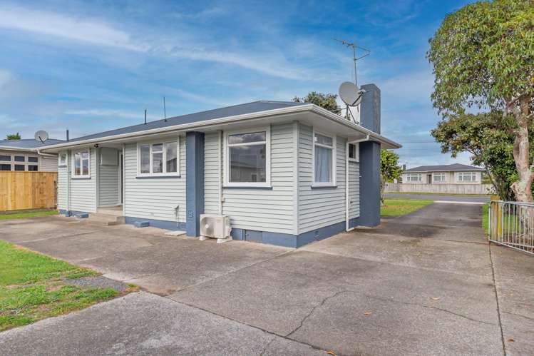 24 Carlisle Street Levin_14