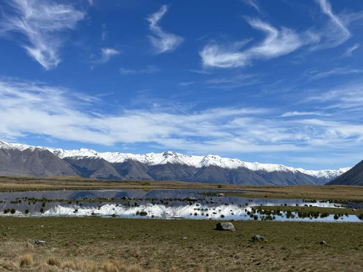 Lagoon Block, Ohau Downs Station Lake Ohau_14