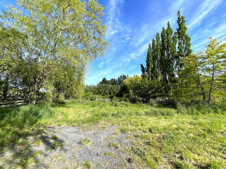 37 Knoll Street Milton_5