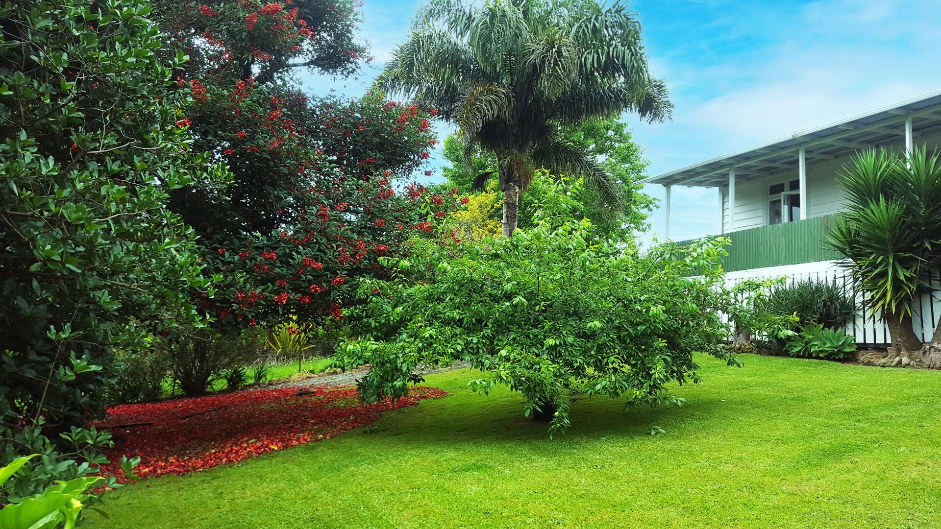 9 French Street Mangapai and Surrounds_0