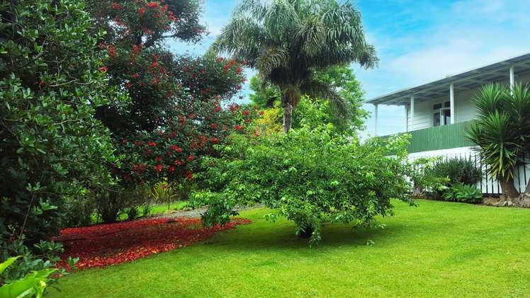 9 French Street Mangapai and Surrounds_0