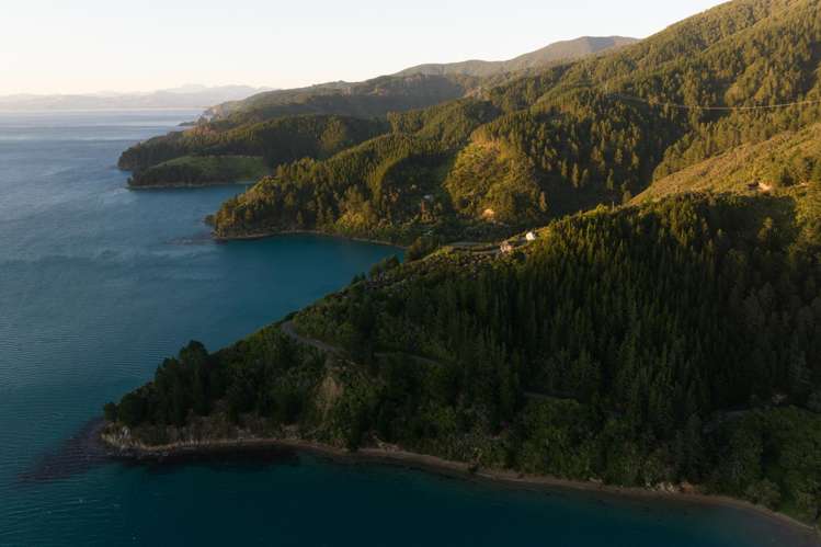 1786 Port Underwood Road Marlborough Sounds_19