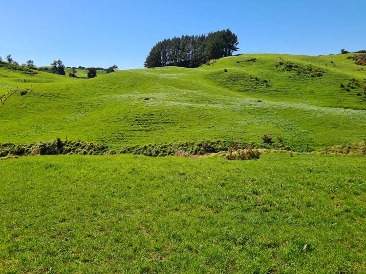 629 South Road Omata_7