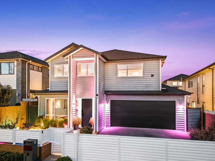 12 Matiki Road Flat Bush_64