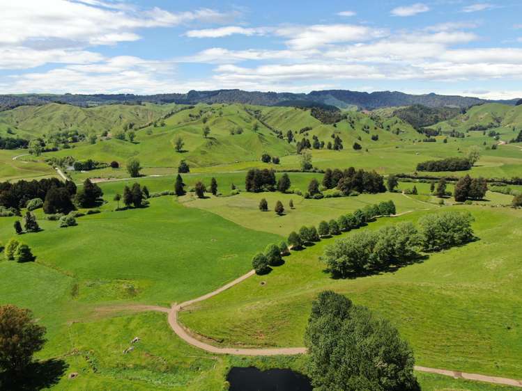 168 Matiere Road Aria_6