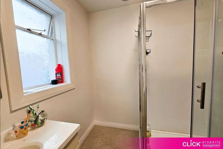 48 Brown Street Dunedin Central_13