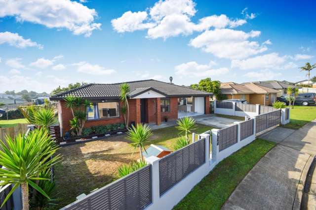 78 Pitt Avenue Clendon Park_1