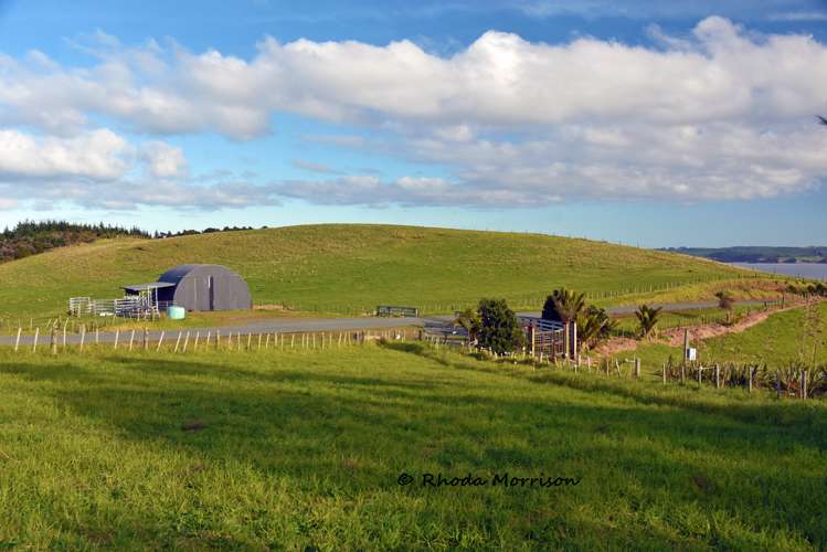 100 Te Wairoa Lane Matakohe_37