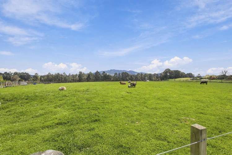 14c Darby Road Arapuni_6