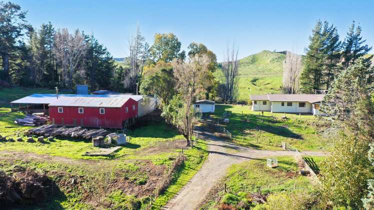 142 Pohokura Road (subdivision of) Tutira_32