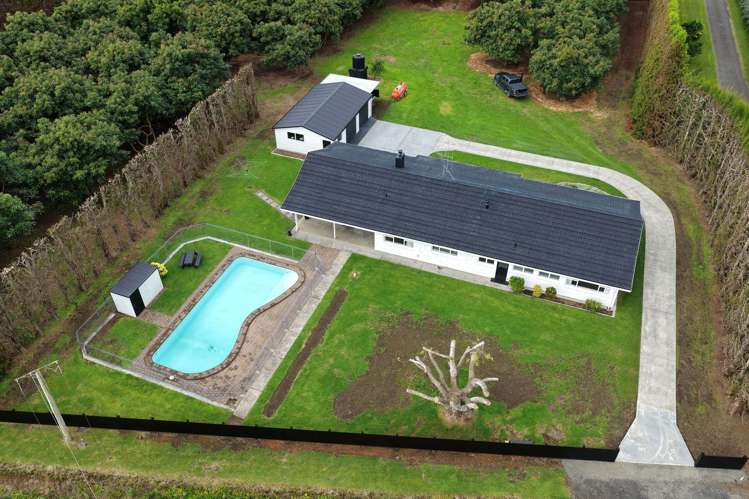 244 Beach Road Katikati_4
