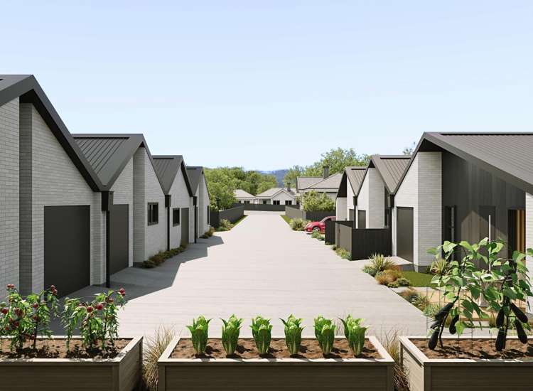 10 Bayfield Road Andersons Bay_10