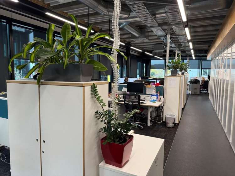 1/335 Lincoln Road Addington_4