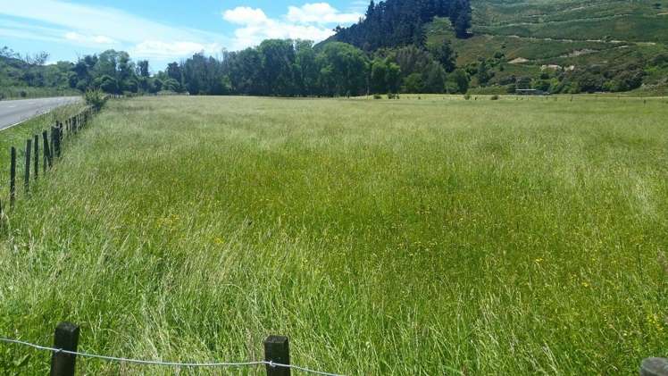 Motueka Valley Highway Motueka_3