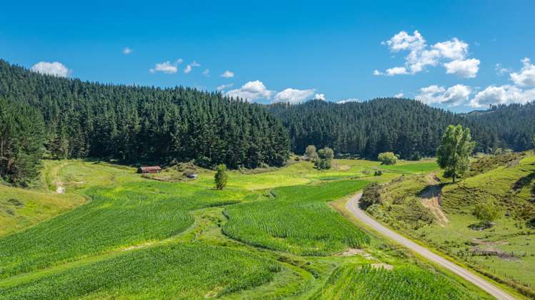 532 Waiatai Road Wairoa_21