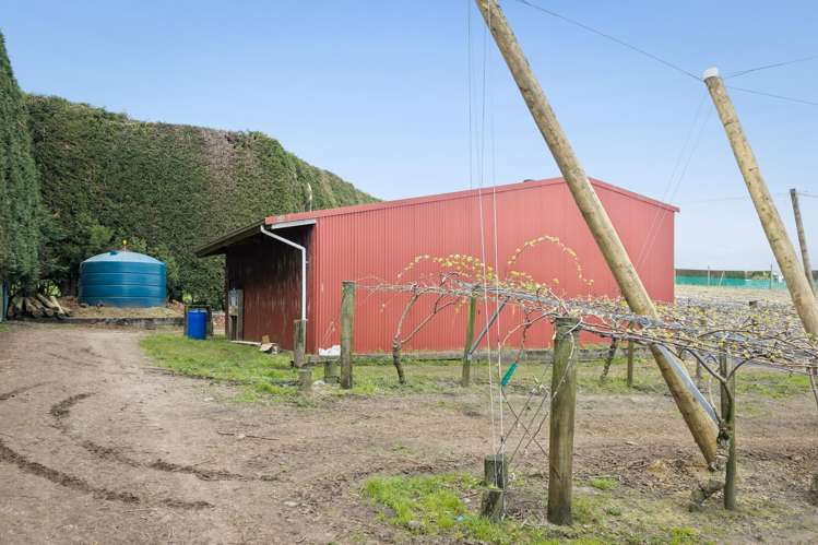 43 Jensen Road Omanawa_12